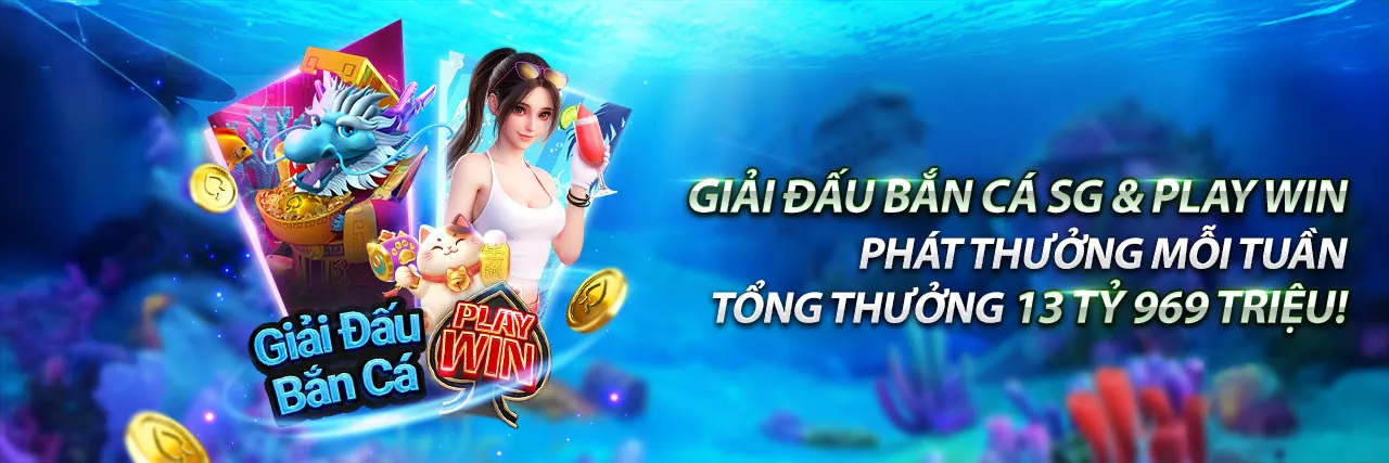 Tổng quan nền tảng vty05 với giao diện người dùng thân thiện